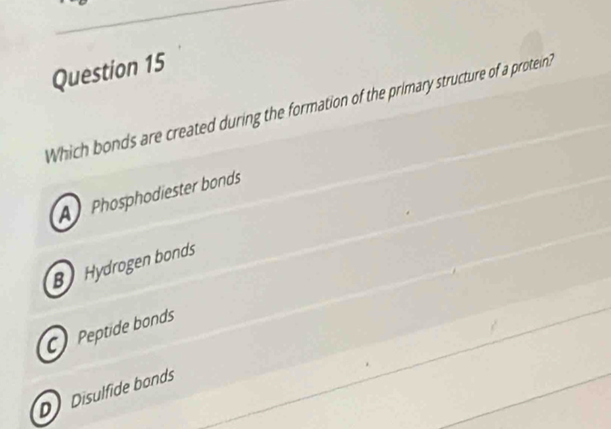 Which bonds are created during the formation of the primary structure of a protein
A Phosphodiester bonds
B Hydrogen bonds
Peptide bonds
D Disulfide bonds