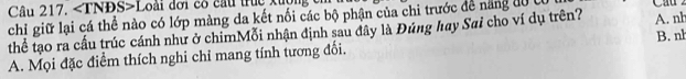 Loài dơi có cầu trực xuy
chỉ giữ lại cá thể nào có lớp màng da kết nối các bộ phận của chi trước để năng đ U
thể tạo ra cấu trúc cánh như ở chimMỗi nhận định sau đây là Đúng hay Sai cho ví dụ trên? A. nh
A. Mọi đặc điểm thích nghi chỉ mang tính tương đối. B. nh