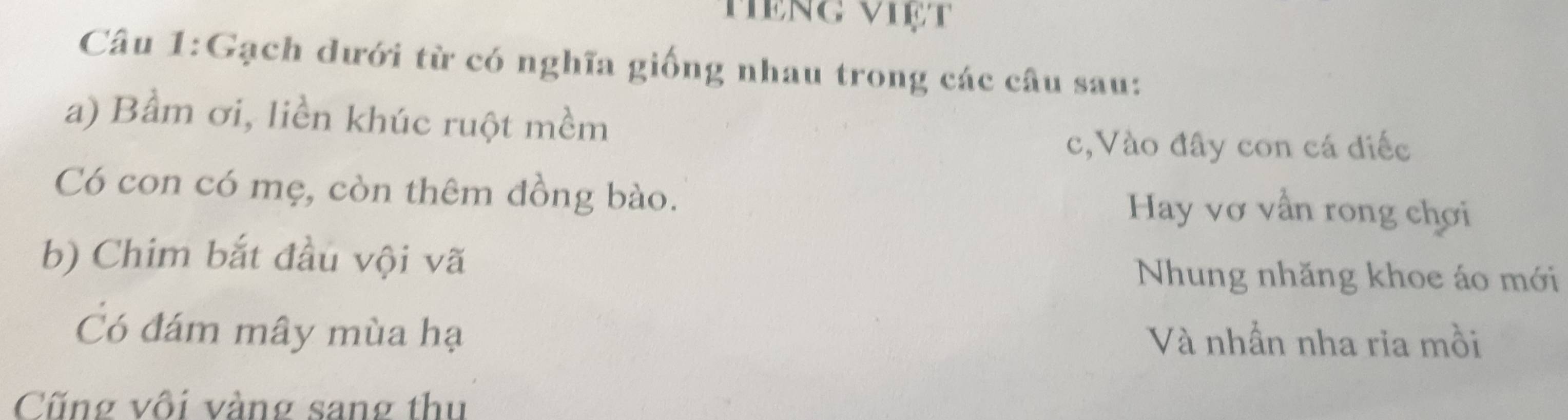 Mèng việt
Câu 1:Gạch dưới từ có nghĩa giống nhau trong các câu sau:
a) Bầm ơi, liền khúc ruột mềm
c,Vào đây con cá diếc
Có con có mẹ, còn thêm đồng bào. Hay vợ vẫn rong chơi
b) Chim bắt đầu vội vã Nhung nhăng khoe áo mới
Có đám mây mùa hạ Và nhần nha ria mồi
Cũng vôi vàng sang thu