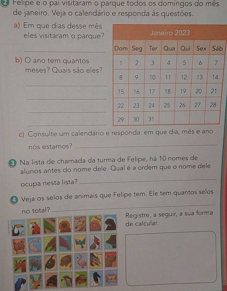 Felipe e o pai visitaram o parque todos os domingos do mês 
de janeiro. Veja o calendário e responda às questões. 
a) Em que dias desse mês 
eles visitaram o parque? 
_b 
b) O ano tem quantos 
meses? Quais são eles? 
_ 
_ 
_ 
_ 
c) Consulte um calendário e responda: em que dia, mês e ano 
nós estamos? 
_ 
Na lista de chamada da turma de Felipe, há 10 nomes de 
alunos antes do nome dele. Qual é a ordem que o nome dele 
ocupa nesta lista? 
_ 
4 Veja os selos de animais que Felipe tem. Ele tem quantos selos 
no total? 
_ 
Registre, a seguir, a sua forma 
e calcular.