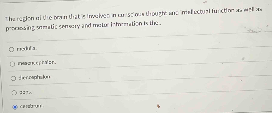 The region of the brain that is involved in conscious thought and intellectual function as well as
processing somatic sensory and motor information is the..
medulla.
mesencephalon.
diencephalon.
pons.
cerebrum.