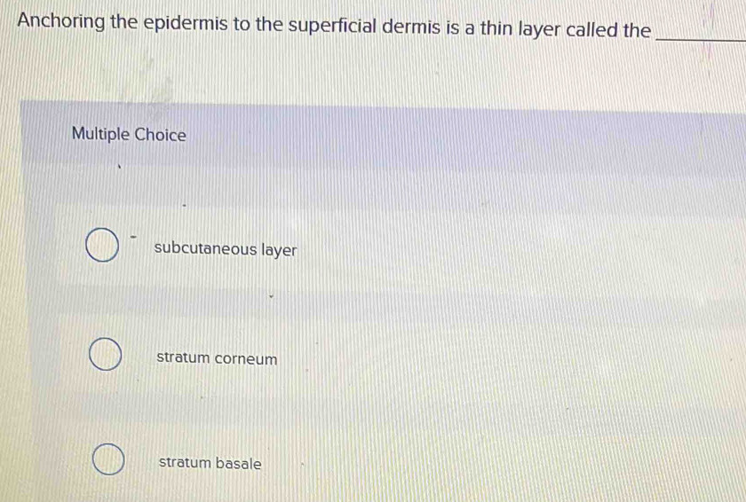 Solved: Anchoring the epidermis to the superficial dermis is a thin ...
