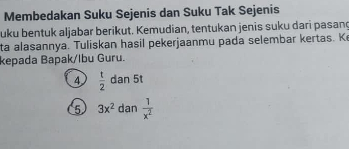 Membedakan Suku Sejenis dan Suku Tak Sejenis 
uku bentuk aljabar berikut. Kemudian, tentukan jenis suku dari pasang 
ta alasannya. Tuliskan hasil pekerjaanmu pada selembar kertas. Ke 
kepada Bapak/Ibu Guru. 
4  t/2  dan 5t
5 3x^2 dan  1/x^2 