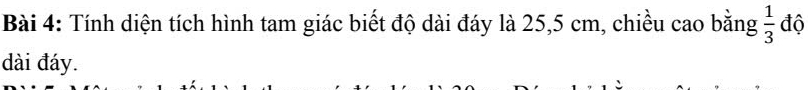 Tính diện tích hình tam giác biết độ dài đáy là 25, 5 cm, chiều cao bằng  1/3  độ 
dài đáy.