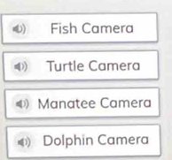 Fish Camera
Turtle Camera
Manatee Camera
4 Dolphin Camera