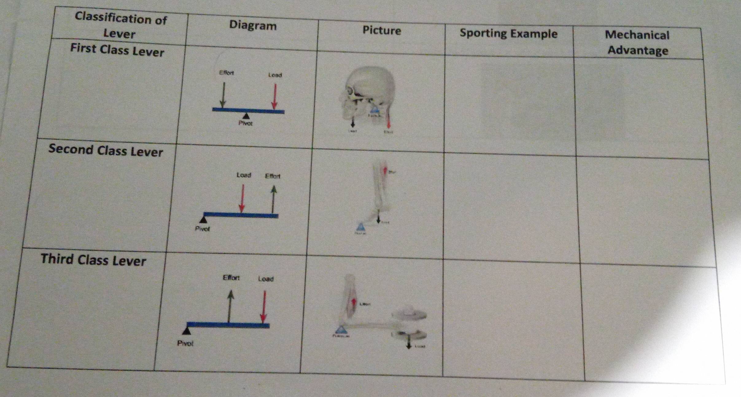 Classification of