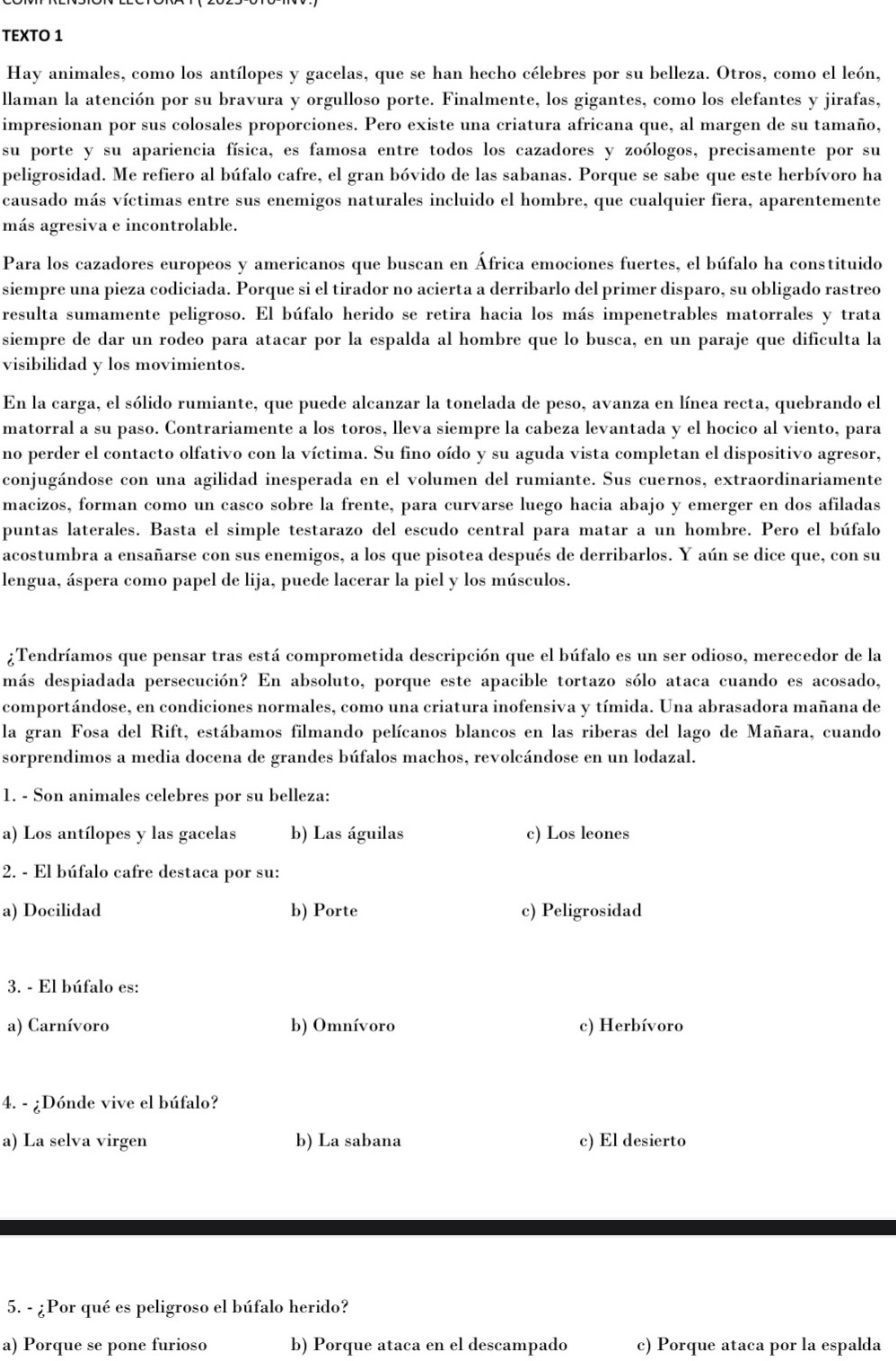 TEXTO 1
Hay animales, como los antílopes y gacelas, que se han hecho célebres por su belleza. Otros, como el león,
llaman la atención por su bravura y orgulloso porte. Finalmente, los gigantes, como los elefantes y jirafas,
impresionan por sus colosales proporciones. Pero existe una criatura africana que, al margen de su tamaño,
su porte y su apariencia física, es famosa entre todos los cazadores y zoólogos, precisamente por su
peligrosidad. Me refiero al búfalo cafre, el gran bóvido de las sabanas. Porque se sabe que este herbívoro ha
causado más víctimas entre sus enemigos naturales incluido el hombre, que cualquier fiera, aparentemente
más agresiva e incontrolable.
Para los cazadores europeos y americanos que buscan en África emociones fuertes, el búfalo ha constituido
siempre una pieza codiciada. Porque si el tirador no acierta a derribarlo del primer disparo, su obligado rastreo
resulta sumamente peligroso. El búfalo herido se retira hacia los más impenetrables matorrales y trata
siempre de dar un rodeo para atacar por la espalda al hombre que lo busca, en un paraje que dificulta la
visibilidad y los movimientos.
En la carga, el sólido rumiante, que puede alcanzar la tonelada de peso, avanza en línea recta, quebrando el
matorral a su paso. Contrariamente a los toros, lleva siempre la cabeza levantada y el hocico al viento, para
no perder el contacto olfativo con la víctima. Su fino oído y su aguda vista completan el dispositivo agresor,
conjugándose con una agilidad inesperada en el volumen del rumiante. Sus cuernos, extraordinariamente
macizos, forman como un casco sobre la frente, para curvarse luego hacia abajo y emerger en dos afiladas
puntas laterales. Basta el simple testarazo del escudo central para matar a un hombre. Pero el búfalo
acostumbra a ensañarse con sus enemigos, a los que pisotea después de derribarlos. Y aún se dice que, con su
lengua, áspera como papel de lija, puede lacerar la piel y los músculos.
¿Tendríamos que pensar tras está comprometida descripción que el búfalo es un ser odioso, merecedor de la
más despiadada persecución? En absoluto, porque este apacible tortazo sólo ataca cuando es acosado,
comportándose, en condiciones normales, como una criatura inofensiva y tímida. Una abrasadora mañana de
la gran Fosa del Rift, estábamos filmando pelícanos blancos en las riberas del lago de Mañara, cuando
sorprendimos a media docena de grandes búfalos machos, revolcándose en un lodazal.
1. - Son animales celebres por su belleza:
a) Los antílopes y las gacelas b) Las águilas c) Los leones
2. - El búfalo cafre destaca por su:
a) Docilidad b) Porte c) Peligrosidad
3. - El búfalo es:
a) Carnívoro b) Omnívoro c) Herbívoro
4. - ¿Dónde vive el búfalo?
a) La selva virgen b) La sabana c) El desierto
5. - ¿Por qué es peligroso el búfalo herido?
a) Porque se pone furioso b) Porque ataca en el descampado c) Porque ataca por la espalda