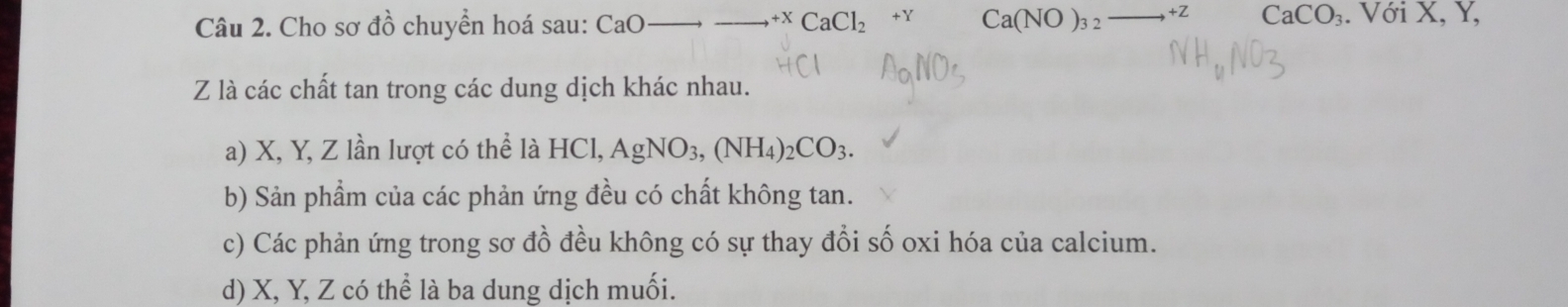 Cho sơ đồ chuyển hoá sau: CaO to to to^(+x)CaCl_2 x Ca(NO)_32to +2 CaCO_3. Với X, Y,
Z là các chất tan trong các dung dịch khác nhau.
a) X, Y, Z lần lượt có thể là HCl, AgNO_3, (NH_4)_2CO_3.
b) Sản phẩm của các phản ứng đều có chất không tan.
c) Các phản ứng trong sơ đồ đều không có sự thay đổi số oxi hóa của calcium.
d) X, Y, Z có thể là ba dung dịch muối.