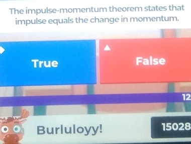 The impulse-momentum theorem states that
impulse equals the change in momentum.
True False
12
Burluloyy! 15028