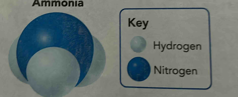 Ammonia 
Key 
Hydrogen 
Nitrogen