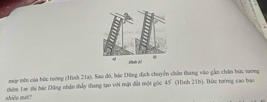 mép trên của bức tường (Hình 21a). Sau đó, bác Dũng dịch chuyển chân thang vào gần chân bức tường 
thêm 1m thì bác Dũng nhận thấy thang tạo với mặt đất một góc 45° (Hình 21b). Bức tường cao bao 
nhiêu mét?