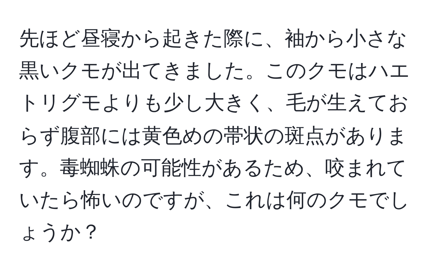 先ほど昼寝から起きた際に、袖から小さな黒いクモが出てきました。このクモはハエトリグモよりも少し大きく、毛が生えておらず腹部には黄色めの帯状の斑点があります。毒蜘蛛の可能性があるため、咬まれていたら怖いのですが、これは何のクモでしょうか？