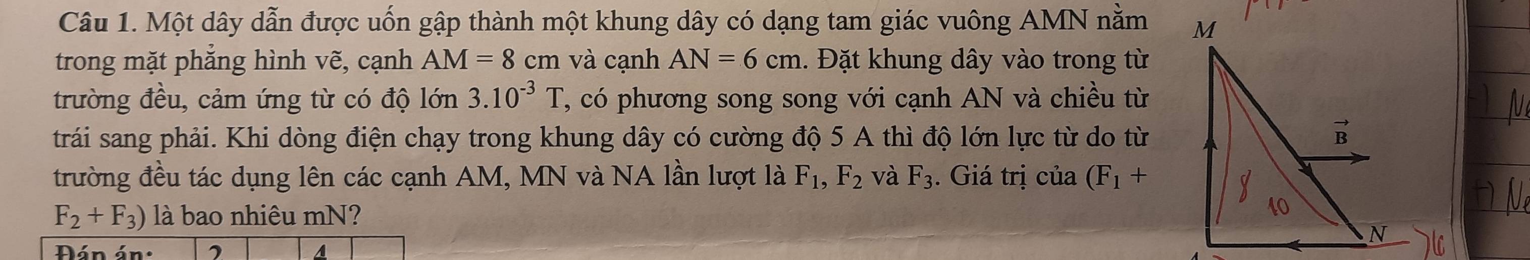 Một dây dẫn được uốn gập thành một khung dây có dạng tam giác vuông AMN nằm
trong mặt phẳng hình vẽ, cạnh AM=8cm và cạnh AN=6cm. Đặt khung dây vào trong từ
trường đều, cảm ứng từ có độ lớn 3.10^(-3)T , có phương song song với cạnh AN và chiều từ
tráải sang phải. Khi dòng điện chạy trong khung dây có cường độ 5 A thì độ lớn lực từ do từ
trường đều tác dụng lên các cạnh AM, MN và NA lần lượt là F_1,F_2 và F_3. Giá trị của (F_1+
F_2+F_3) là bao nhiêu mN?
Đán án: , A