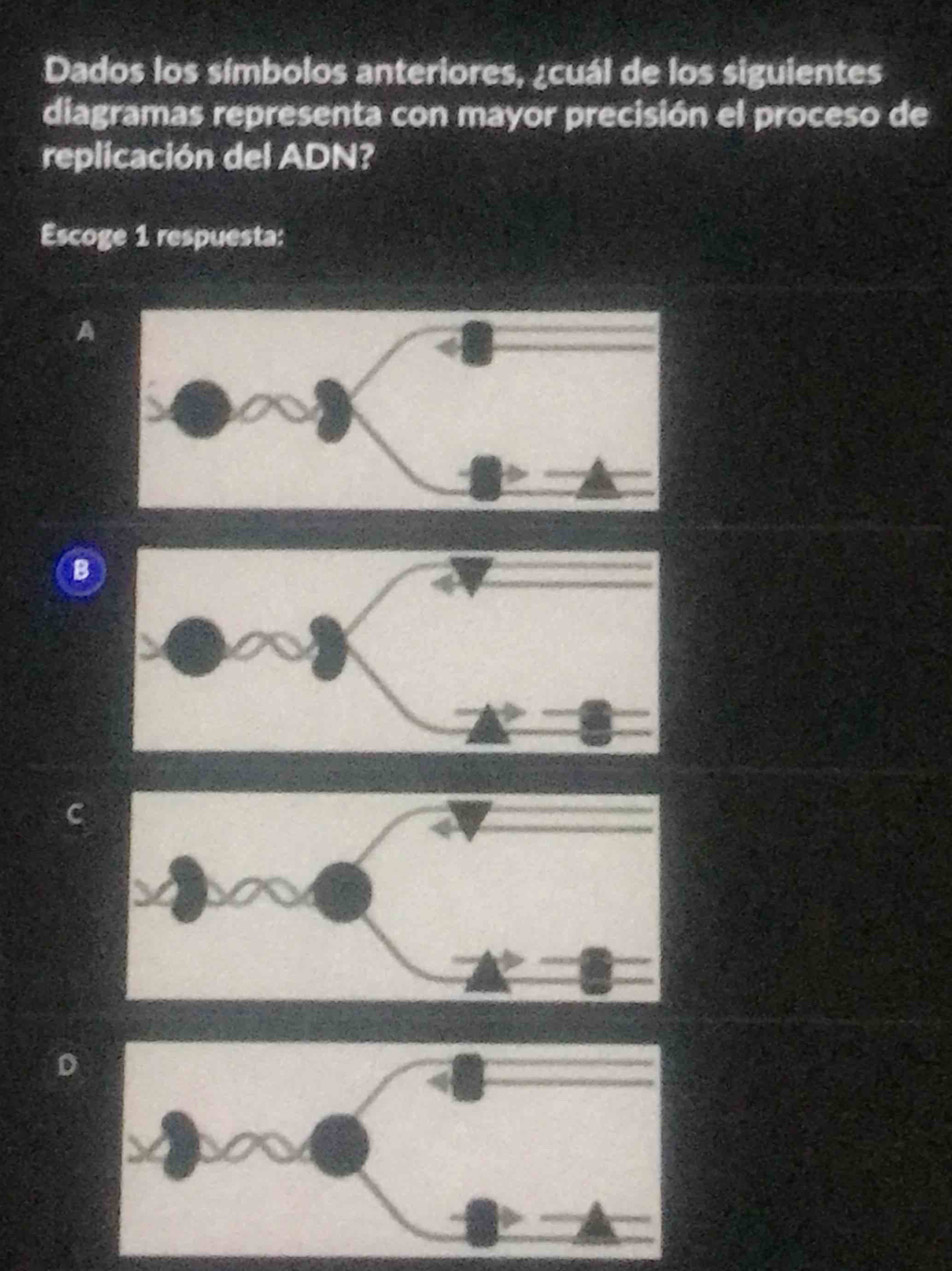 Dados los símbolos anteriores, ¿cuál de los siguientes
diagramas representa con mayor precisión el proceso de
replicación del ADN?
Escoge 1 respuesta:
A
B
D
