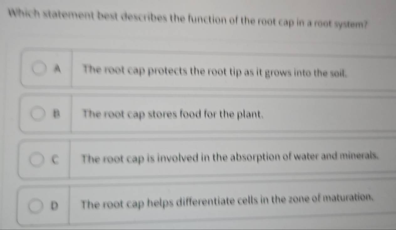 Which statement best describes the function of the root cap in a root system?
A The root cap protects the root tip as it grows into the soil.
B The root cap stores food for the plant.
C The root cap is involved in the absorption of water and minerals.
D The root cap helps differentiate cells in the zone of maturation.