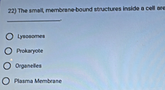 The small, membrane-bound structures inside a cell are
_
Lysosomes
Prokaryote
Organelles
Plasma Membrane