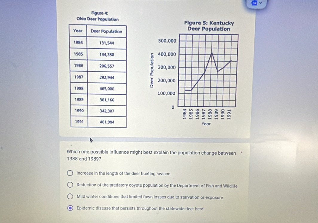 Figure 4:
Ohio Deer Population Figure 5: Kentucky
Deer Population
500,000
400,000
300,000
200,000
100,000
0
~
Year
Which one possible influence might best explain the population change between *
1988 and 1989?
Increase in the length of the deer hunting season
Reduction of the predatory coyote population by the Department of Fish and Wildlife
Mild winter conditions that limited fawn losses due to starvation or exposure
Epidemic disease that persists throughout the statewide deer herd