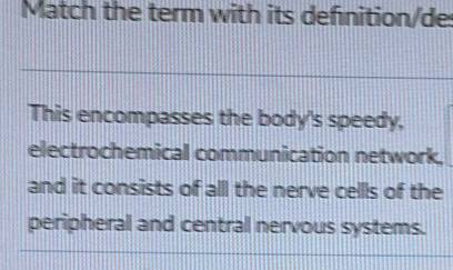 Match the term with its definition/des 
This encompasses the body's speedy, 
electrochemical communication network, 
and it consists of all the nerve cellls of the 
peripheral and central nervous systems.