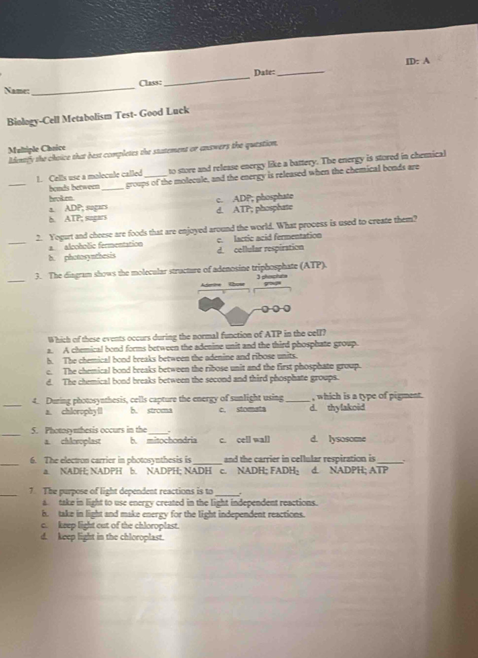 ID: A
Date:_
Name:_ Class:
_
Biology-Cell Metabolism Test- Good Luck
Multiple Chaice Identify the chaice that best completes the statement or answers the quastion.
_
L. Cells use a molecule called_ to store and release energy like a battery. The energy is stored in chemical
bonds between _groups of the molecule, and the energy is released when the chemical bonds are
broken.
a. ADP; sugars c. ADP; phosphate
b. ATP; sugars d. ATP; phosphate
_
2. Yogurt and cheese are foods that are enjoyed around the world. What process is used to create them?
aalooholic fermentation c. lactic acid fermentation
b. photosynthesis d. cellular respiration
_
3. The dingram shows the molecular structure of adenosine triphosphate (ATP).
3 phasphate
Adenine Wbose yo
0○
Which of these events occurs during the normal function of ATP in the cell?
a. A chemical bond forms between the adenine unit and the third phosphate group.
h. The chemical bond breaks between the adenine and ribose units.
c. The chemical bond breaks between the ribose unit and the first phosphate group.
d. The chemical bond breaks between the second and third phosphate groups.
_
4. During photosynthesis, cells capture the energy of sunlight using _, which is a type of pigment .
a. chierophyll b. stroma c. stomate d. thylakoid
_
5. Photosynthesis occurs in the .
a chleroplast b. mitochondria c. cell wall d. lysosome
_
6. The electron carrier in photosynthesis is_ and the carrier in cellular respiration is_ .
a. NADH; NADPH b. NADPH; NADH c. NADH; FADH: d. NADPH; ATP
7. The purpose of light dependent reactions is to
a take in light to use energy created in the light independent reactions.
b. take in light and make energy for the light independent reactions.
c. keep light out of the chloroplast.
d. keep light in the chloroplast.