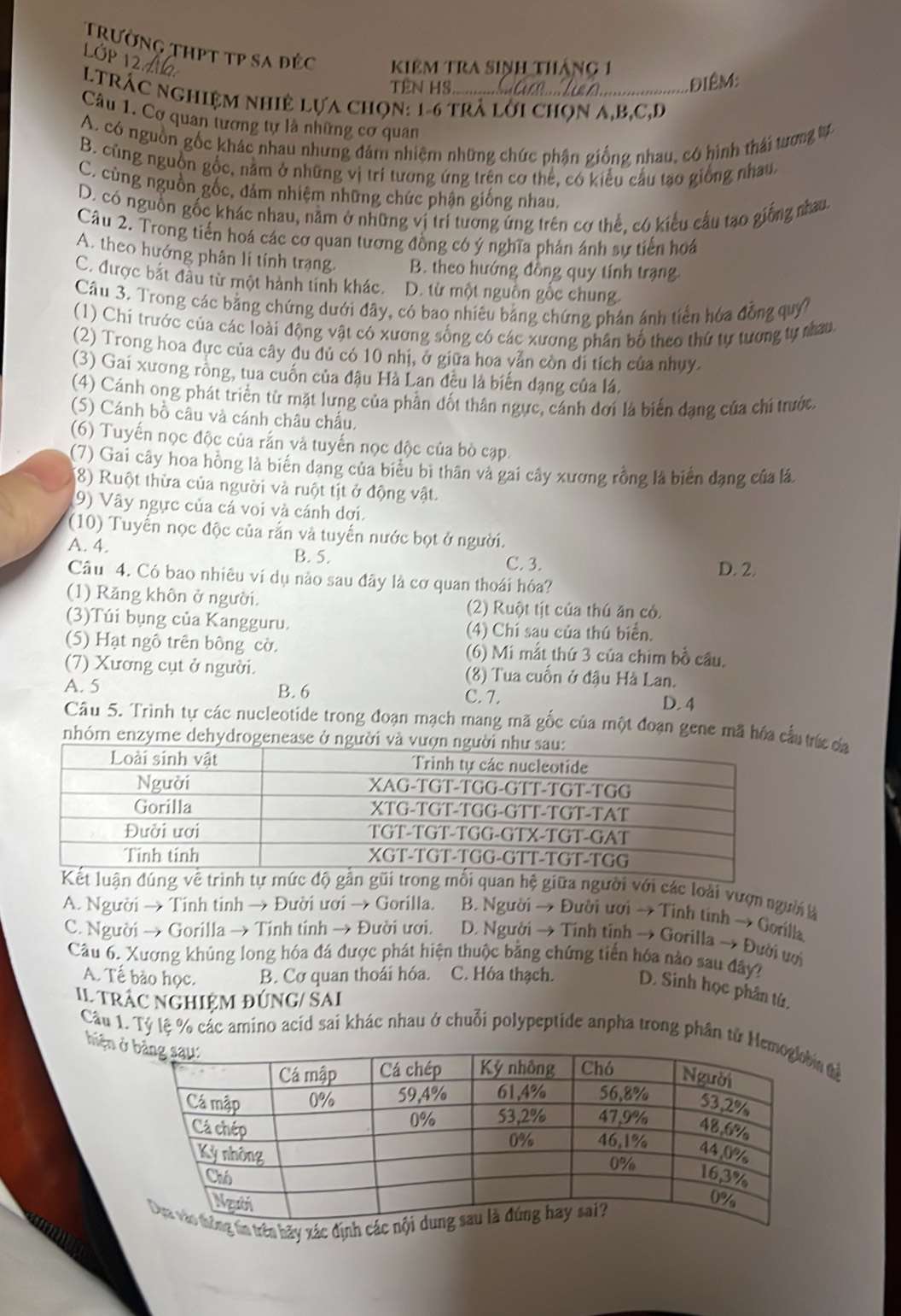 trường thPt tp sa đéc kiêm tra sinh tháng 1
Lớp1
TEN HS
Điêm:
NTrÁC Nghiệm nhiệ Lựa chọn: 1-6 trà lới chọn A,B,C,D
Câu 1. Cơ quan tương tự là những cơ quan
A. có nguồn gốc khác nhau nhưng đám nhiệm những chức phận giống nhau, có hình thái tương tực
B. cùng nguồn gốc, nằm ở những vị trí tương ứng trên cơ thể, có kiểu cầu tạo giống nhau.
C. cùng nguồn gốc, đám nhiệm những chức phận giống nhau,
D. có nguồn gốc khác nhau, nằm ở những vị trí tương ứng trên cơ thế, có kiểu cầu tạo giống nhau.
Câu 2. Trong tiến hoá các cơ quan tương đồng có ý nghĩa phản ánh sự tiến hoá
A. theo hướng phân lí tính trạng, B. theo hướng đồng quy tính trạng
C. được bắt đầu từ một hành tính khác. D. từ một nguồn gốc chung.
Câu 3. Trong các bằng chứng dưới đây, có bao nhiêu bảng chứng phản ánh tiến hóa đồng quý
(1) Chí trước của các loài động vật có xương sống có các xương phân bố theo thứ tự tương tự nhau.
(2) Trong hoa đực của cây du dủ có 10 nhị, ở giữa hoa vẫn còn di tích của nhụy.
(3) Gai xương rồng, tua cuốn của đậu Hà Lan đều là biến dạng của lá.
(4) Cánh ong phát triển từ mặt lưng của phần đốt thân ngực, cánh dơi là biến đạng của chí trước,
(5) Cánh bồ câu và cánh châu chấu,
(6) Tuyến nọc độc của rắn và tuyến nọc độc của bò cạp.
(7) Gai cây hoa hồng là biến dạng của biểu bì thân và gai cây xương rồng là biển đạng của lá.
(8) Ruột thừa của người và ruột tịt ở động vật.
9) Vây ngực của cá voi và cánh dơi.
(10) Tuyến nọc độc của rắn và tuyến nước bọt ở người.
A. 4. B. 5. C. 3. D. 2.
Câu 4. Có bao nhiêu ví dụ nào sau đây là cơ quan thoái hóa?
(1) Răng khôn ở người. (2) Ruột tịt của thú ăn có.
(3)Túi bụng của Kangguru. (4) Chi sau của thú biển.
(5) Hạt ngô trên bông cờ. (6) Mi mắt thứ 3 của chim bồ câu.
(7) Xương cụt ở người.  (8) Tua cuốn ở đậu Hà Lan.
A. 5 B. 6 D. 4
C. 7.
Câu 5. Trình tự các nucleotide trong đoạn mạch mang mã gốc của một đoạn gene mã hóa cầu trứ ủa
nhóm enzyme dehydrogenease ở người và vư
iữa người với các loài vượn ngườià
A. Người → Tính tinh → Đười ươi → Gorilla.  B. Người → Đười ươi → Tinh tính → Gorilla
C. Người → Gorilla → Tính tính → Đười ươi.  D. Người → Tính tính → Gorilla → Đười ượi
Câu 6. Xương khủng long hóa đá được phát hiện thuộc bằng chứng tiến hóa nào sau đây?
A. Tế bảo học. B. Cơ quan thoái hóa. C. Hóa thạch. D. Sinh học phân tử,
II TRÁC NGHIỆM ĐÚNG/ SAI
Câu 1. Tỷ lệ % các amino acid sai khác nhau ở chuỗi polypeptide anpha trong phân tử tả
biện