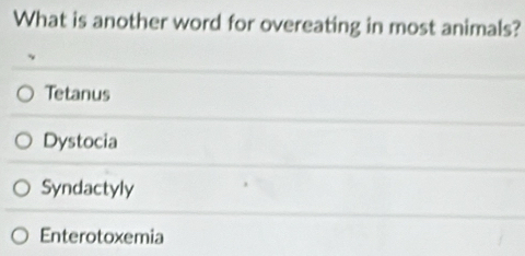 What is another word for overeating in most animals?
Tetanus
Dystocia
Syndactyly
Enterotoxemia