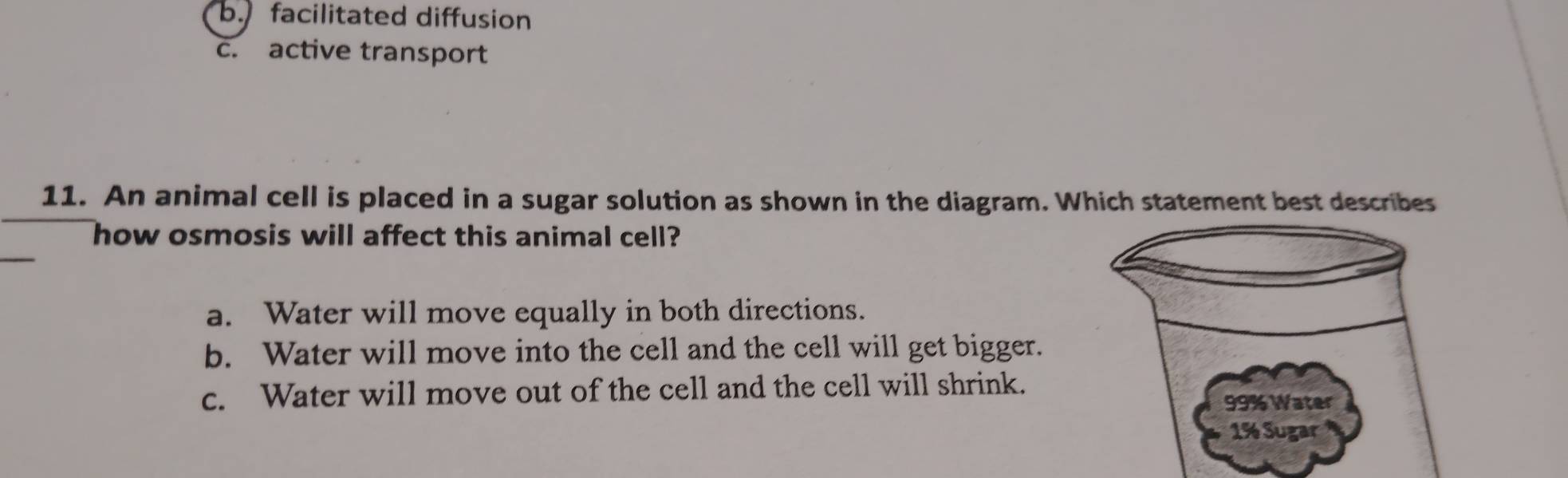 b. facilitated diffusion
c. active transport
11. An animal cell is placed in a sugar solution as shown in the diagram. Which statement best describes
_
how osmosis will affect this animal cell?
a. Water will move equally in both directions.
b. Water will move into the cell and the cell will get bigger.
c. Water will move out of the cell and the cell will shrink.
99% Water
1% Sugar