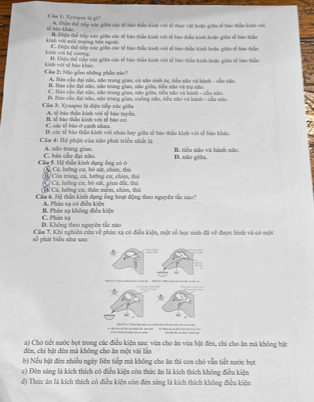 Cầu 1: Xynapse là gi?
A. Điện thể tiếp xúc giữa các tế bảo thần kính với tế thực vật hoặc giữn tế bảo thần kinh với
tế bảo khác
B. Điện thế tiếp xúc giữa các tế bảo thần kinh với tế bào thần kinh hoặc giữa tế bào thần
kính với môi trưởng bên ngoài.
C. Điện thế tiếp xúc giữa các tế bảo thần kính với tế bào thầu kính hoặc giữa tế bào thầm
kính với hệ xương
D. Điện thế tiếp xúc giữa các tế bào thần kính với tế bảo thần kinh hoặc giữa tế bào thần
kinh với tế bào khác
Câu 2: Não gồm những phần nào?
A. Bán cầu đại não, não trung gian, cú não sinh tư, tiểu não và hành - cầu não.
B. Bán cầu đại não, não trung gian, não giữa, tiêu não và trụ não.
C. Bán cầu đại não, não trung gian, não giữa, tiểu não và hành - cầu não.
D. Bán cầu đại não, não trung gian, cuống não, tiểu não và hành - cầu não.
Câu 3: Xynapse là điện tiếp xúc giữa
A. tế bào thần kính với tế bào tuyến.
B. tế bào thần kính với tế bào cơ.
C. các tế bào ở cạnh nhau.
D. các tế bào thần kính với nhau hay giữa tế bào thần kính với tế bào khác.
Câu 4: Bộ phận của não phát triển nhất là
A. não trung gian. B. tiểu não và hành não.
C. bán câu đại não. D. não giữa.
Câu 5. Hệ thần kính dạng ống có ở
Á Cá, lưỡng cư, bò sát, chim, thú
(B/ Côn trùng, cá, lưỡng cư, chim, thú
C. Cá, lưỡng cư, bỏ sát, giun đất, thú
D Cá, lưỡng cư, thân mễm, chim, thú
Câu 6. Hệ thần kính dạng ống hoạt động theo nguyên tắc nào?
A. Phân xạ có điều kiện
B. Phản xạ không điều kiện
C. Phân xạ
D. Không theo nguyên tắc nào
Câu 7. Khi nghiên cứu về phản xạ có điều kiện, một số học sinh đã vẽ được hình và có một
số phát biểu như sau:
*t 1 th Cán biền chúo ln nng
a) Chó tiết nước bọt trong các điều kiện sau: vừa cho ăn vừa bật đèn, chỉ cho ăn mà không bật
đèn, chi bật đèn mà không cho ăn một vài lần
b) Nếu bật đèn nhiều ngày liên tiếp mà không cho ăn thì con chó vẫn tiết nước bọt
c) Đèn sáng là kích thích có điều kiện còn thức ăn là kích thích không điều kiện
d) Thức ăn là kích thích có điều kiện còn đèn sáng là kích thích không điều kiện