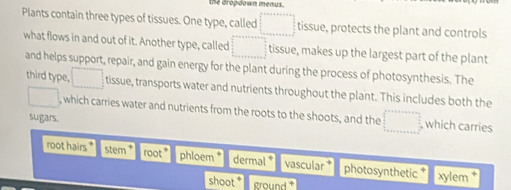 the dropdown menus. 
Plants contain three types of tissues. One type, called tissue, protects the plant and controls 
what flows in and out of it. Another type, called tissue, makes up the largest part of the plant 
and helps support, repair, and gain energy for the plant during the process of photosynthesis. The 
third type, tissue, transports water and nutrients throughout the plant. This includes both the 
, which carries water and nutrients from the roots to the shoots, and the which carries 
sugars. 
root hairs* stem root * phloem dermal vascular * photosynthetic * xylem + 
shoot ground