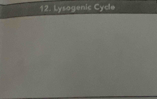 Lysogenic Cycle