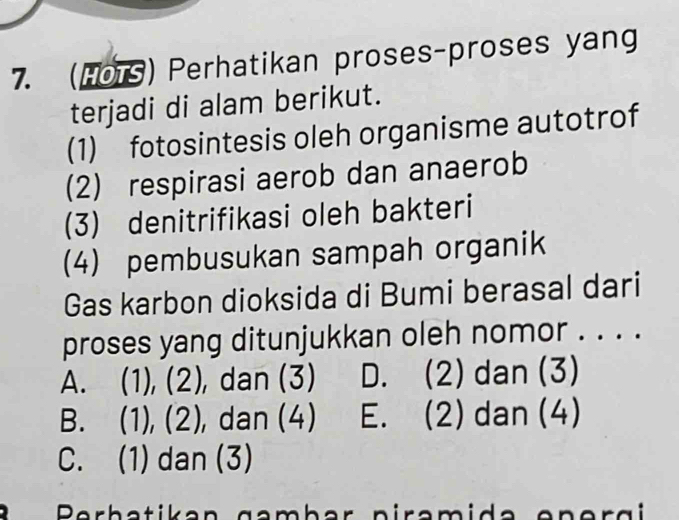 (HOrS) Perhatikan proses-proses yang
terjadi di alam berikut.
(1) fotosintesis oleh organisme autotrof
(2) respirasi aerob dan anaerob
(3) denitrifikasi oleh bakteri
(4) pembusukan sampah organik
Gas karbon dioksida di Bumi berasal dari
proses yang ditunjukkan oleh nomor . . . .
A. (1), (2), dan (3) D. (2) dan (3)
B. (1), (2), dan (4) E. (2) dan (4)
C. (1) dan (3)