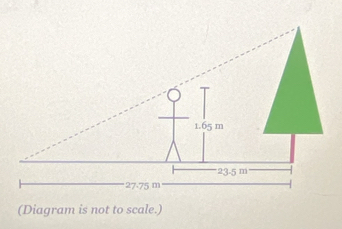 (Diagram is not to scale.)