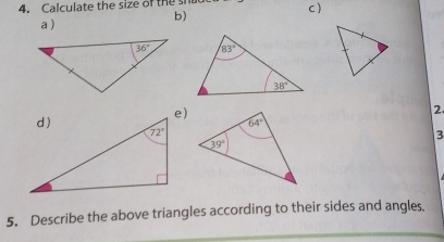 Calculate the size of the sh c )
a )
b)
   
 
2
3
5. Describe the above triangles according to their sides and angles.