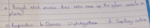 Through which process does water move up the rylem ressels in
plantc?
Q1 Respination b) Osmest c) photosynthesic d, Capillary action