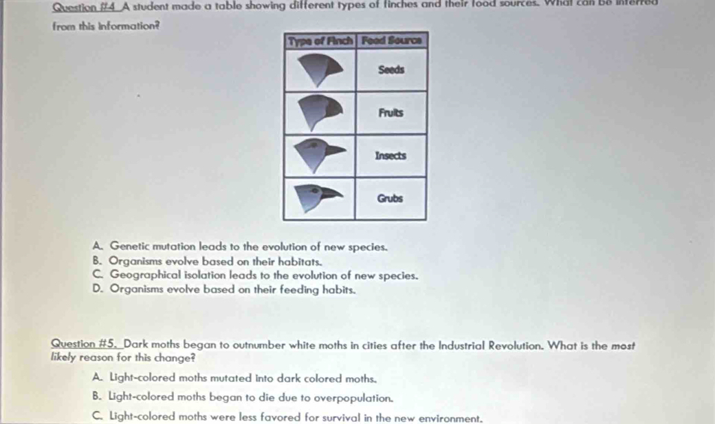 A student made a table showing different types of finches and their food sources. What can be inferred
from this Information?
A. Genetic mutation leads to the evolution of new species.
B. Organisms evolve based on their habitats.
C. Geographical isolation leads to the evolution of new species.
D. Organisms evolve based on their feeding habits.
Question #5. Dark moths began to outnumber white moths in cities after the Industrial Revolution. What is the most
likely reason for this change?
A. Light-colored moths mutated into dark colored moths.
B. Light-colored moths began to die due to overpopulation.
C. Light-colored moths were less favored for survival in the new environment.