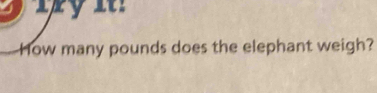 How many pounds does the elephant weigh?