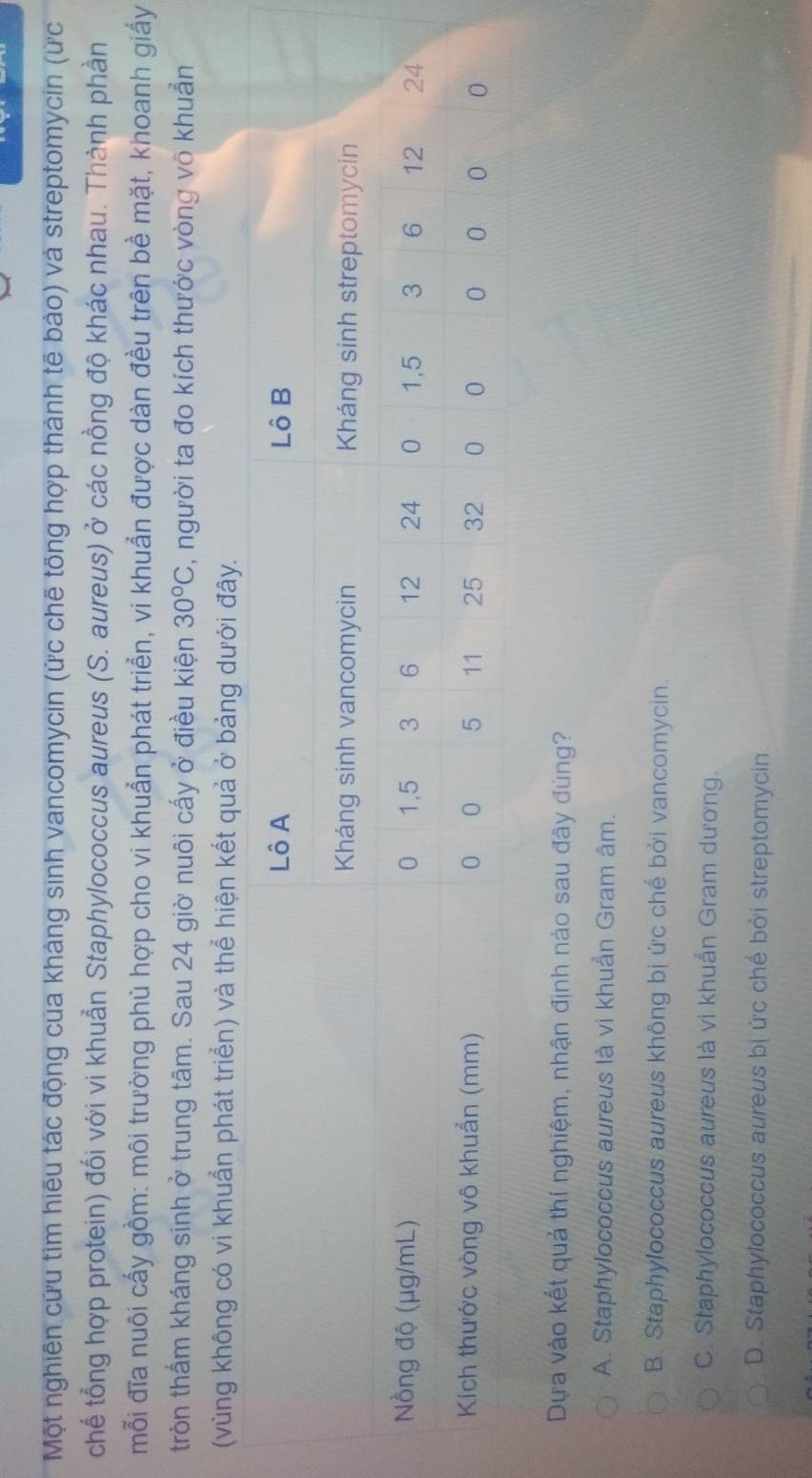 Một nghiên cứu tìm hiệu tác động của kháng sinh vancomycin (ức chẽ tổng hợp thành tế bảo) và streptomycin (ức
chế tổng hợp protein) đối với vi khuẩn Staphylococcus aureus (S. aureus) ở các nồng độ khác nhau. Thành phần
mỗi đĩa nuôi cấy gồm: môi trường phù hợp cho vi khuẩn phát triển, vi khuẩn được dàn đều trên bề mặt, khoanh giấy
tròn thấm kháng sinh ở trung tâm. Sau 24 giờ nuôi cấy ở điều kiện 30°C , người ta đo kích thước vòng vô khuẩn
(vùng không có vi khuẩn phát triển) và thể hiện kết quả ở bảng dưới đây.
Dựa vào kết quả thí nghiệm, nhận định nào sau đây đúng?
A. Staphylococcus aureus là vi khuẩn Gram âm.
B. Staphylococcus aureus không bị ức chế bởi vancomycin.
C. Staphylococcus aureus là vi khuẩn Gram dương.
D. Staphylococcus aureus bị ức chế bởi streptomycin