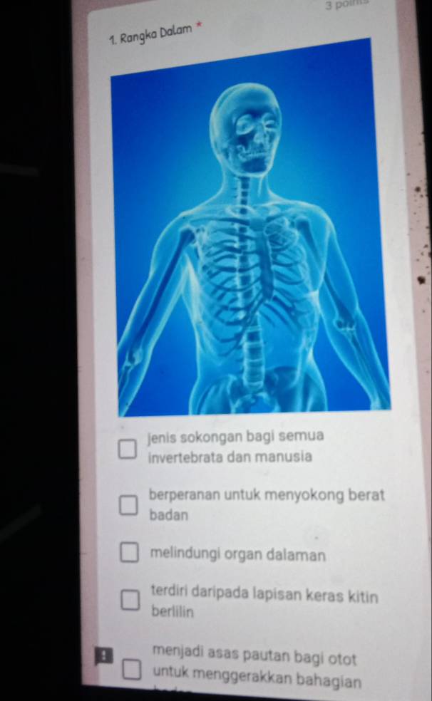 polms
am *
jenis sokongan bagi semua
invertebrata dan manusia
berperanan untuk menyokong berat
badan
melindungi organ dalaman
terdiri daripada lapisan keras kitin
berlilin
menjadi asas pautan bagi otot
untuk menggerakkan bahagian