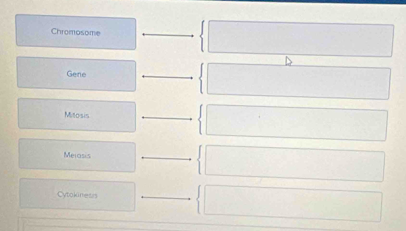 Chromosome
Gene
Mitosis
Meiosis
Cytokinears