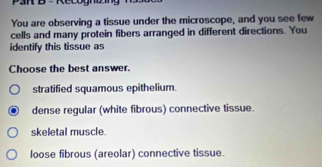 Pak B - Recognizing
You are observing a tissue under the microscope, and you see few
cells and many protein fibers arranged in different directions. You
identify this tissue as
Choose the best answer.
stratified squamous epithelium.
dense regular (white fibrous) connective tissue.
skeletal muscle.
loose fibrous (areolar) connective tissue.