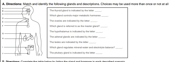 Directions: Match and identify the following glands and descriptions. Choices may be used more than once or not at all 
A 
BThe thyroid gland is indicated by the letter_ 
C 
Which gland controls major metabolic hormones _. 
D 
E 
The ovaries are indicated by the letter 
FWhich gland is referred to as the master gland?_ 
The hypothalamus is indicated by the letter _. 
G 
The adrenal glands are indicated by the letter_ 
H 
The testes are indicated by the letter_ 
|Which gland regulates mineral water and electrolyte balance?_ 
JThe pituitary gland is indicated by the letter_