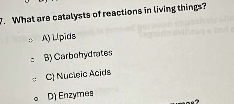 What are catalysts of reactions in living things?
A) Lipids
B) Carbohydrates
C) Nucleic Acids
D) Enzymes