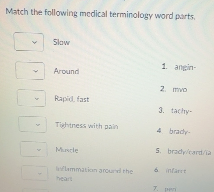 Solved: Match the following medical terminology word parts. Slow Around ...