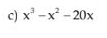 x^3-x^2-20x