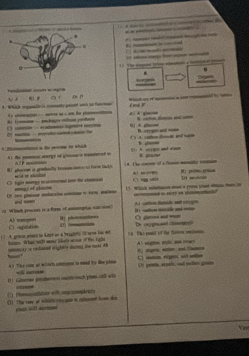A San Gy iterated so tu m e  i cone de
r campan s romeded rominly the  gh cin ay
C  d  on o  da m
U) prlsaso margs from ognaie moinmbón
1 2. The dones tlon reprion e hiolodeal poue
.
Degares
Peoduadón occors ln regrón
o 
j d m
8 . Which organalleas cornrly parred with as foneuos? Which ae of uniotaies is ie regosonie bynter
F and 1
A) chincapis - sava às a ete êe phineyaions A1 A glasour
i)  ysosone — pucluges ctlbuar produnta B : carbon dicséde and ener
(  ) contrune — synhmns digettive engymes Bj A ghazose
D) munton —provides cambolymrtes for D. oxygen and water
C) A. camben dimds and water
9. Phomsymtos in the provins by which B. giasose
A) the putential energy of glacuse is tranderred to D) A. uvy ger and wases
B. giacene
ATP molecien
B)  glacuse is gradually bresn down to form tactp ( T he stamen of a flomes nommatly coommns
scid or alcubel B) prites prresed
C) ight enorgy is otorverned ino the chemical C egg emis D mrenitãe
emagy of elicose
Df two glacose omdecules combme to form maluse 15. Which substances must a prem plan obtam from i
cxvmend to earry on phoomynhesls?
and water
A) carbon desude and ostygro
10. Which process is a form of amonoptac numition? By  carbou disside and euer
A) trampen B) photeaynthests  giueoa and ware
C)regulation D) iermentation Dy caygen and chiamphy ?
11. A green pln is kept in a brights it aree for 48 16 The punt of the flower mainses
bour. What will mst ban's aro if the light
intinsity is reduced elightly during the next 48 A) sugme, style, and ovary
hom H) stigei, eathe, and Mamens
A) The rate at winch magen is used by Ge plan C) seamen, sugena, aud anlees
will macse OJ pemia, sepait, and notien gama
() Gucose production insite each plam cell will
ior ease
C) Ponoenthems will stop completely.
() The rate at which ons gon it coleased from the
plat witl decresse
Vor