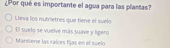 ¿Por qué es importante el agua para las plantas?
Lleva los nutrietres que tiene el suelo
El suelo se vuelve más suave y ligero
Mantiene las raíces fijas en el suelo