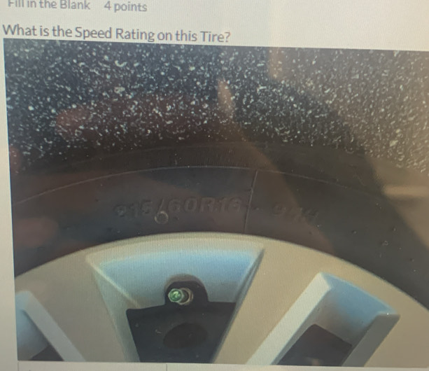 Fill in the Blank 4 points 
What is the Speed Rating on this Tire?