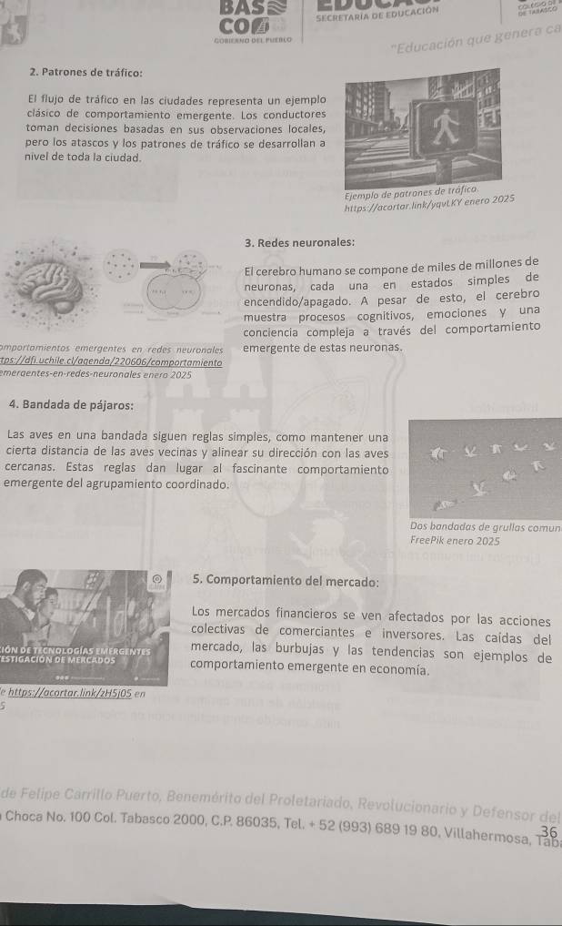 BAS
CO SeCreTArIa de EDuCAción
'Educación que genera ca
Cobierno del puerlo
2. Patrones de tráfico: 
El flujo de tráfico en las ciudades representa un ejemplo
clásico de comportamiento emergente. Los conductores
toman decisiones basadas en sus observaciones locales,
pero los atascos y los patrones de tráfico se desarrollan a
nivel de toda la ciudad.
https://acortar.link/yqvLKY enero 2
Redes neuronales:
cerebro humano se compone de miles de millones de
uronas, cada una en estados simples de
cendido/apagado. A pesar de esto, el cerebro
uestra procesos cognitivos, emociones y una
onciencia compleja a través del comportamiento
amportamientos emergentes en redes neuronales emergente de estas neuronas.
ctps://dfi.uchile.cl/agenda/220606/comportamiento
emergentes-ençrèdes-neuronales enero 2025
4. Bandada de pájaros:
Las aves en una bandada siguen reglas simples, como mantener una
cierta distancia de las aves vecinas y alinear su dirección con las aves
cercanas. Estas reglas dan lugar al fascinante comportamiento
emergente del agrupamiento coordinado.
Dos bandadas de grullas comun
FreePik enero 2025
5. Comportamiento del mercado:
Los mercados financieros se ven afectados por las acciones
colectivas de comerciantes e inversores. Las caídas del
ión de tecnologías emergentesmercado, las burbujas y las tendencias son ejemplos de
Estigación de Mercadosomportamiento emergente en economía.
e https://acortar.link/zH5j0S en
de Felipe Carrillo Puerto, Benemérito del Proletariado, Revolucionario y Defensor del
Choca No. 100 Col. Tabasco 2000, C.P. 86035, Tel. + 52 (993) 689 19 80, Villahermosa, Tab.
36