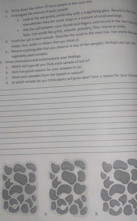 Write down the colour of each sample in the next row. 
c. Investigate the texture of each sample: 
Look at the soil grains, preferably with a magnifying glass. Record in the nex 
row whether they are small, large or a mixture of small and large. 
Rub the soil between your thumb and fingers, and record in the next row he 
feels. Use words like gritty, smooth, powdery, fine, coarse or sticky. 
d. Smell the soil in each sample. Describe the smell in the next row. Use words like ea 
soapy, foul, acidic or others that you think of. 
e. Record anything else that you observe in any of the samples. Perhaps you can see 
vegetable plant remains. 
3. Draw conclusions and communicate your findings. 
a. Which soil type do you think each sample of soil is? 
b. Give two good reasons for your answers in (a). 
c. Were your samples from the topsoil or subsoil? 
_ 
d. In which sample do you think plants will grow best? Give a reason for your answe 
_ 
_ 
_ 
_ 
_ 
_ 
_ 
_ 
_ 
_ 
_ 
_ 
A 
B