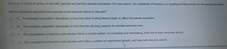 bstous is a typis of goass. to the wild, pandas eat bamboo almost exclusively. For this reason, the avaiability of bamboo is a signficant limiting factor on the panda popuation
Wc saement dsssrites how pandas could become extinct in the wild?
A. The baso population decresses so low that other limiting factors begin to affect the panda population.
8. The hembios pepulation decreases so low that the carrying capacity for pandas becomes zero
C. The pepulations of bamboo and pandas follow a cyclical pattern of increasing and decreasing, until one of them becomes extinct
D The posulations of bamboo and pandas both follow a pattern of exponential growth, and then both become extinct.