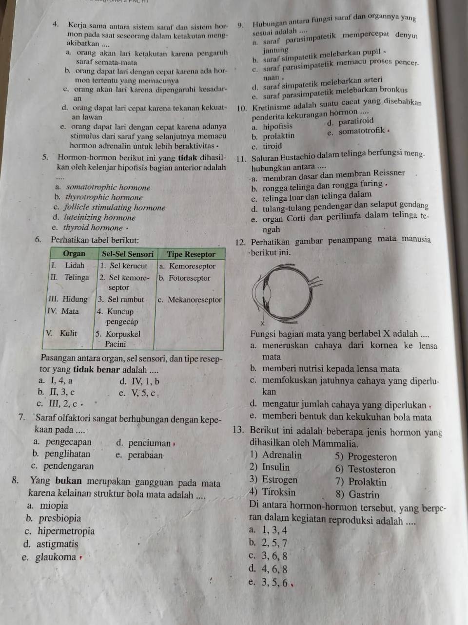 Kerja sama antara sistem saraf dan sistem hor- 9. Hubungan antara fungsi saraf dan organnya yang
mon pada saat seseorang dalam ketakutan meng-
sesuai adalah ....
akibatkan ....
a. saraf parasimpatetik mempercepat denyur
a. orang akan lari ketakutan karena pengaruh jantung
saraf semata-mata
b. saraf simpatetik melebarkan pupil -
b. orang dapat lari dengan cepat karena ada hor- c. saraf parasimpatetik memacu proses pencer
mon tertentu yang memacunya naan .
c. orang akan lari karena dipengaruhi kesadar- d. saraf simpatetik melebarkan arteri
an
e. saraf parasimpatetik melebarkan bronkus
d. orang dapat lari cepat karena tekanan kekuat- 10. Kretinisme adalah suatu cacat yang disebabkan
an lawan
penderita kekurangan hormon ....
e. orang dapat lari dengan cepat karena adanya a. hipofisis d. paratiroid
stimulus dari saraf yang selanjutnya memacu b. prolaktin
e. somatotrofik .
hormon adrenalin untuk lebih beraktivitas . c. tiroid
5. Hormon-hormon berikut ini yang tidak dihasil- 11. Saluran Eustachio dalam telinga berfungsi meng-
kan oleh kelenjar hipofisis bagian anterior adalah hubungkan antara ....
a. membran dasar dan membran Reissner
a. somatotrophic hormone b. rongga telinga dan rongga faring .
b. thyrotrophic hormone c. telinga luar dan telinga dalam
c. follicle stimulating hormone
d. tulang-tulang pendengar dan selaput gendang
d. luteinizing hormone
e. thyroid hormone · e. organ Corti dan perilimfa dalam telinga te
ngah
6. Perhatikan tabel berikut:
2. Perhatikan gambar penampang mata manusia
berikut ini.
Fungsi bagian mata yang berlabel X adalah ....
a. meneruskan cahaya dari kornea ke lensa
Pasangan antara organ, sel sensori, dan tipe resep- mata
tor yang tidak benar adalah .... b. memberi nutrisi kepada lensa mata
a. I, 4, a d. IV, 1,b c. memfokuskan jatuhnya cahaya yang diperlu-
b. II, 3, c e. V, 5, c kan
c. III, 2, c · d. mengatur jumlah cahaya yang diperlukan ,
7. Saraf olfaktori sangat berhubungan dengan kepe- e. memberi bentuk dan kekukuhan bola mata
kaan pada .... 13. Berikut ini adalah beberapa jenis hormon yang
a. pengecapan d. penciuman， dihasilkan oleh Mammalia.
b. penglihatan e. perabaan 1) Adrenalin 5) Progesteron
c. pendengaran 2) Insulin 6) Testosteron
8. Yang bukan merupakan gangguan pada mata 3) Estrogen 7) Prolaktin
karena kelainan struktur bola mata adalah .... 4) Tiroksin 8) Gastrin
a. miopia Di antara hormon-hormon tersebut, yang berpe-
b. presbiopia ran dalam kegiatan reproduksi adalah ....
c. hipermetropia a. 1, 3, 4
d. astigmatis b. 2, 5, 7
e. glaukoma ， c. 3, 6, 8
d. 4, 6, 8
e. 3, 5, 6 、